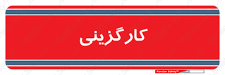 employment , نیروی انسانی , 