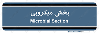 microb , part , قسمت , میکروب , 