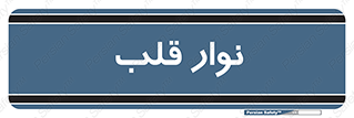  , سینه , 