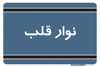  , سینه , 
