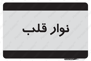  , سینه , 