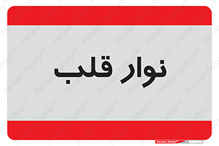  , سینه , 