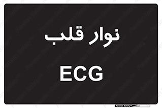  , سینه , 