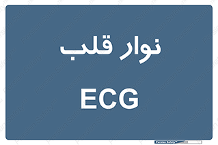  , سینه , 