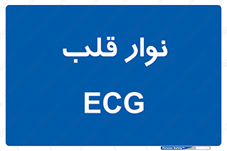  , سینه , 