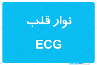  , سینه , 