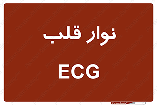  , سینه , 