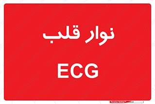  , سینه , 