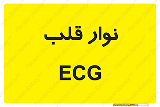  , سینه , 