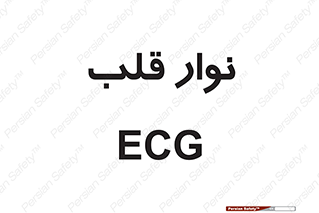  , سینه , 