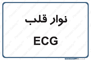  , سینه , 