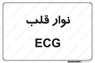  , سینه , 