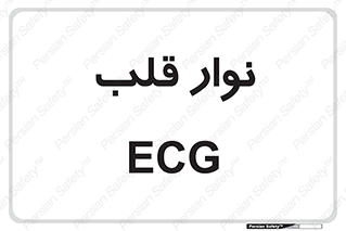  , سینه , 
