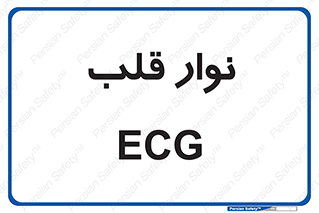  , سینه , 