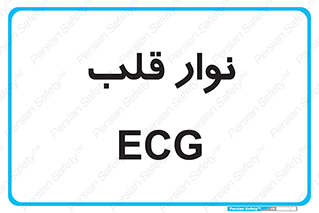  , سینه , 