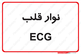  , سینه , 