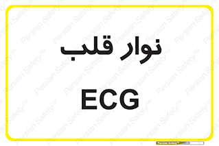  , سینه , 