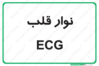  , سینه , 