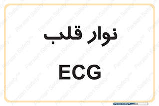  , سینه , 