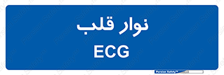  , سینه , 