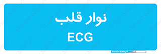  , سینه , 