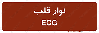  , سینه , 