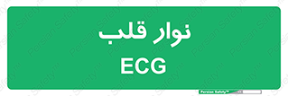  , سینه , 