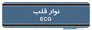  , سینه , 