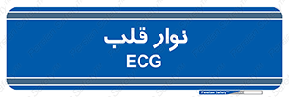  , سینه , 