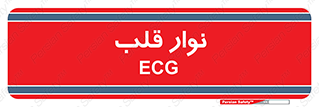  , سینه , 