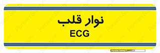  , سینه , 