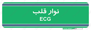  , سینه , 