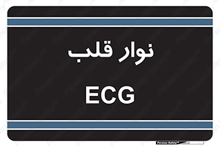  , سینه , 