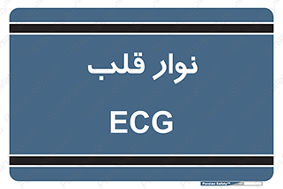  , سینه , 