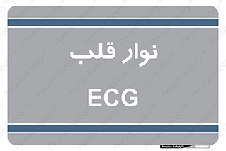  , سینه , 