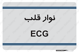  , سینه , 