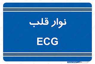  , سینه , 