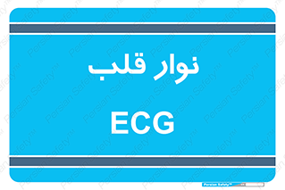  , سینه , 