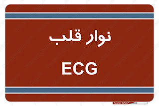  , سینه , 