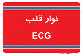  , سینه , 