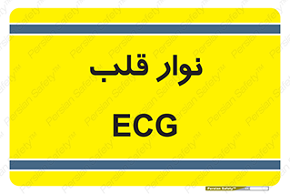  , سینه , 