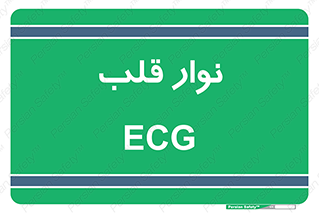  , سینه , 