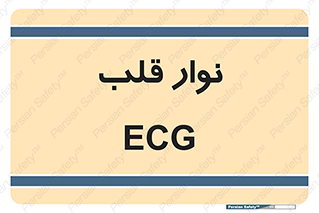  , سینه , 