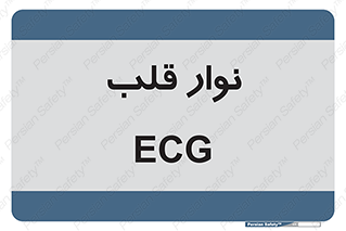  , سینه , 