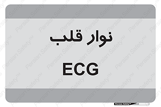  , سینه , 