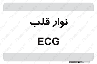  , سینه , 
