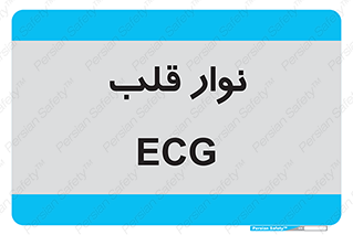  , سینه , 