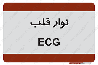  , سینه , 