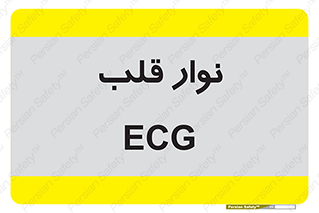  , سینه , 