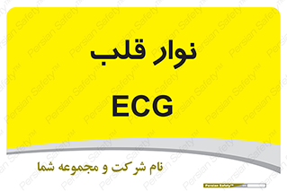  , سینه , 